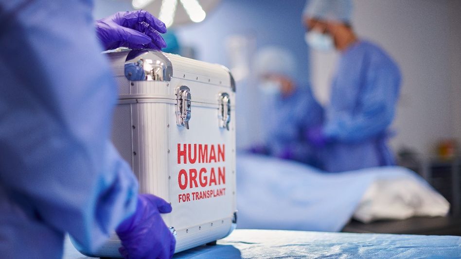 ব্রেন না হার্ট, মৃত্যুর পর কোন অঙ্গ সবার আগে কাজ বন্ধ করে? ব্রেন না হার্ট, মৃত্যুর পর কোন অঙ্গ সবার আগে কাজ বন্ধ করে?