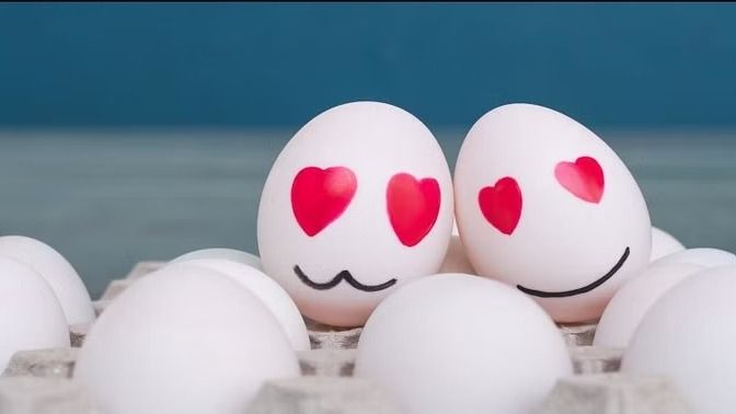 Teddy Day 2026 JOKES