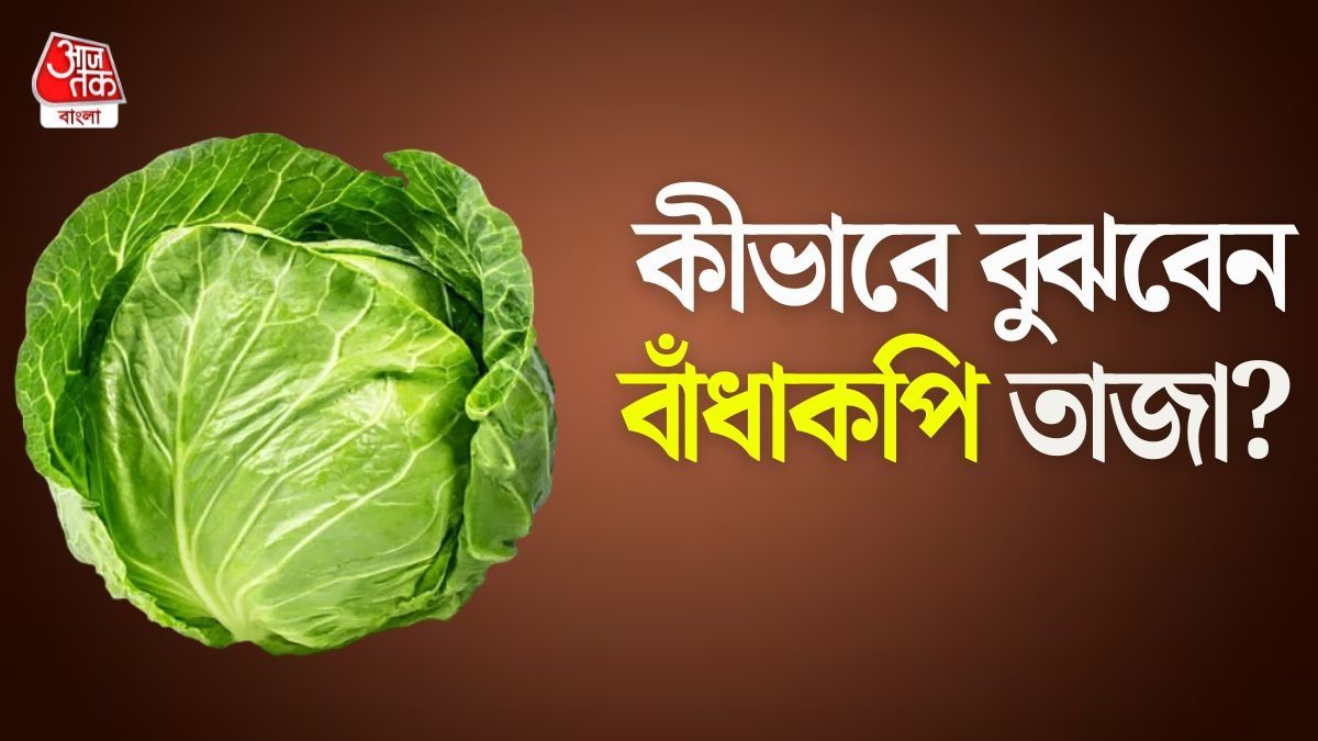 বাঁধাকপি