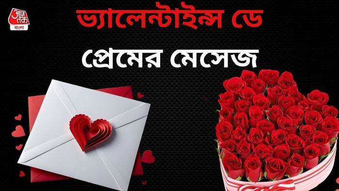 ভ্যালেন্টাইন্স ডে-র মেসেজ
