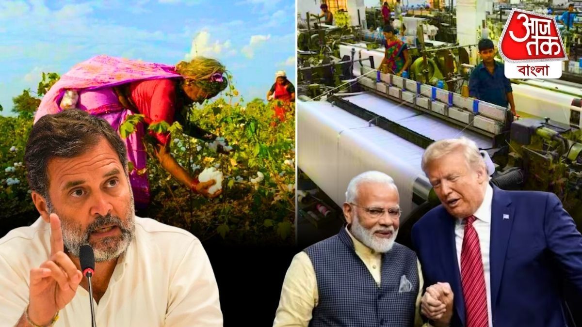 তুলো নিয়ে কী 'খেলা' US-India Trade Deal-এ? বাংলাদেশ টেনে কেন্দ্রকে টার্গেট রাহুলের