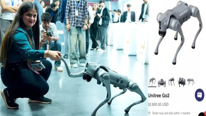 AI সামিটে চিনা রোবট নিয়ে বিতর্ক তুঙ্গে