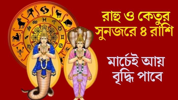 রাহু ও কেতুর সুনজরে ৪ রাশি