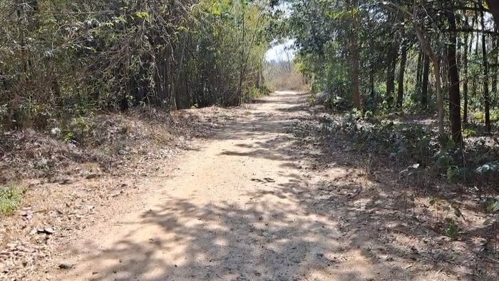 উন্নয়ন, কর্মসংস্থান, রাস্তা, জল, আবাস; তালিকা দীর্ঘ হয় প্রতিবারই।