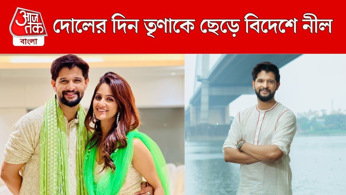 নীল-তৃণা ডিভোর্স গুঞ্জন