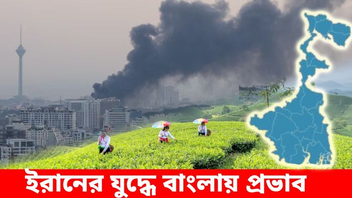 ইরানের যুদ্ধের আঁচ বাংলার চা বাগানেও