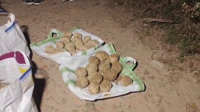 ভাঙারে উদ্ধার ২৬টি তাজা বোমা! 'টাকা ছড়াচ্ছেন ISF বিধায়ক,' দাবি সওকত মোল্লার