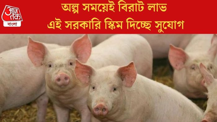 এই সরকারি স্কিম দিচ্ছে সুযোগ