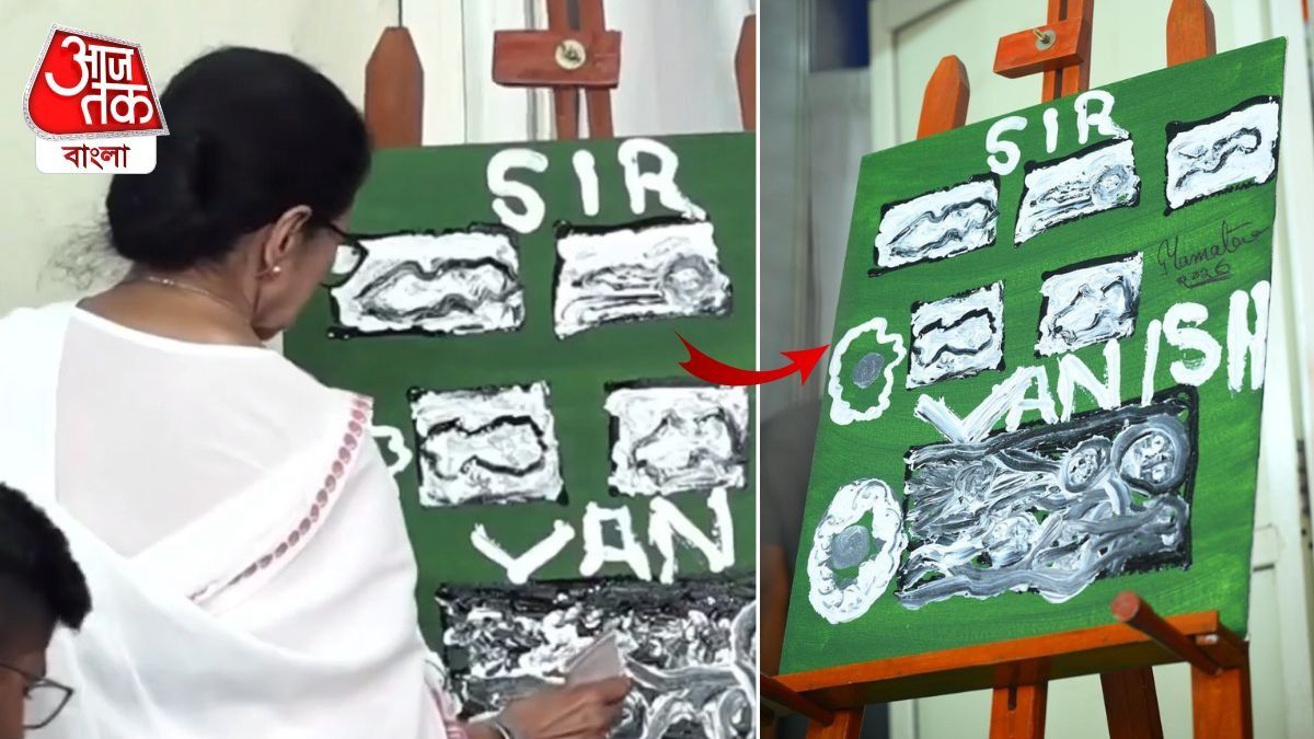 ক্যানভাসে লেখা 'ভ্যানিশ', ধর্নামঞ্চে ঠিক কী ছবি আঁকলেন মমতা? VIDEO  