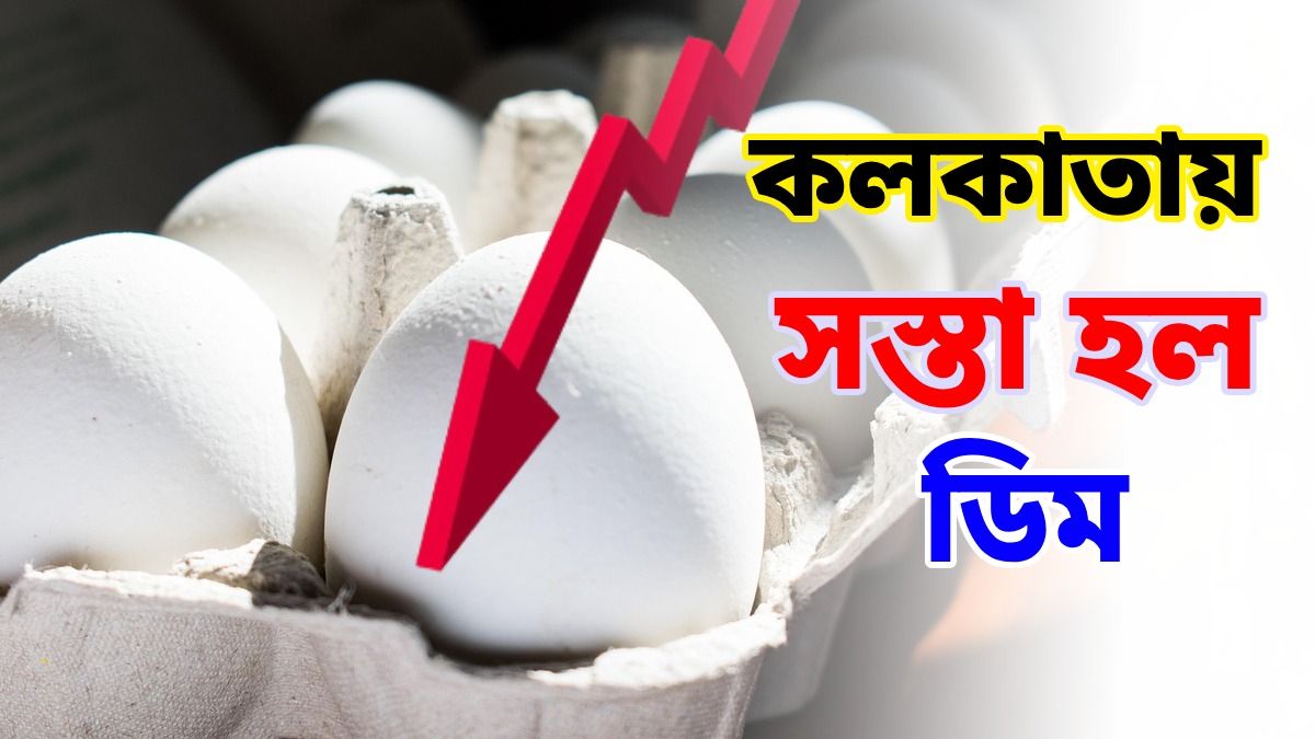 বাংলা সহ দেশজুড়ে অনেকটা কমে গেল ডিমের দাম, এখন কত?