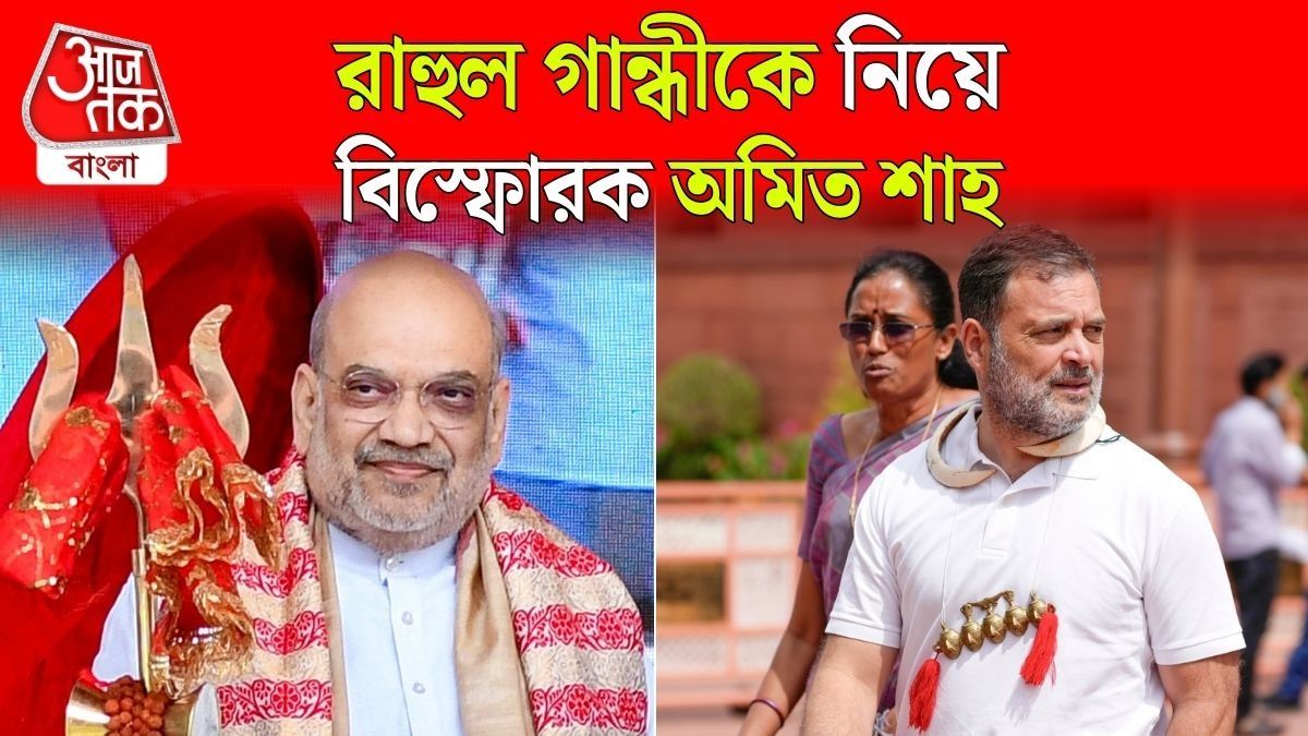 সংসদের সিঁড়িতে বসে চা-পকোড়া খান রাহুল গান্ধী, অভিযোগ অমিত শাহর 