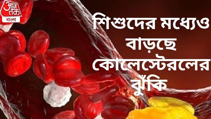 কোলেস্টেরল