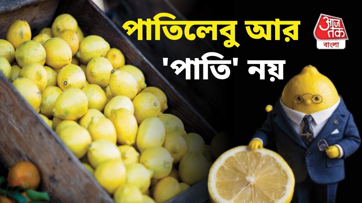পাতিলেবুর দাম দ্বিগুণ বেড়েছে কেন? কমতে পারে কবে? খোঁজ নিল bangla.aajtak.in