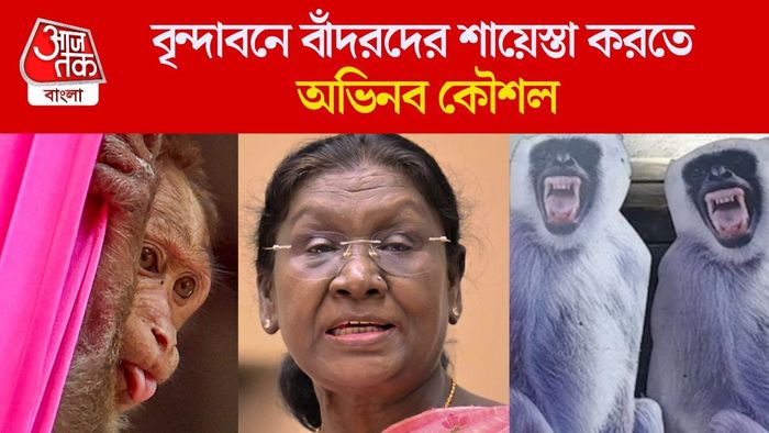 বৃন্দাবনে বাঁদরদের শায়েস্তা করতে অভিনব কৌশল