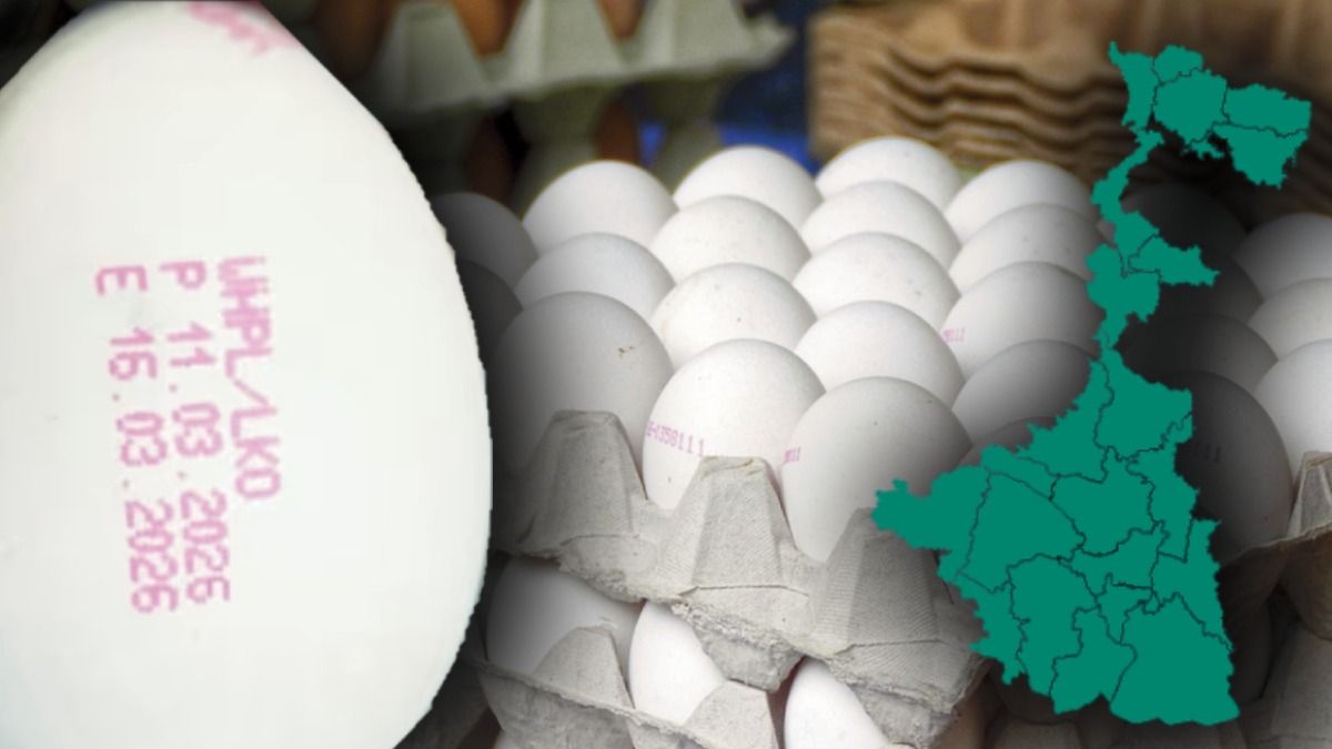 বাংলাতেও ডিমের গায়ে লেখা থাকবে এক্সপায়ারি ডেট? খোঁজ নিয়ে যা জানল bangla.aajtak.in