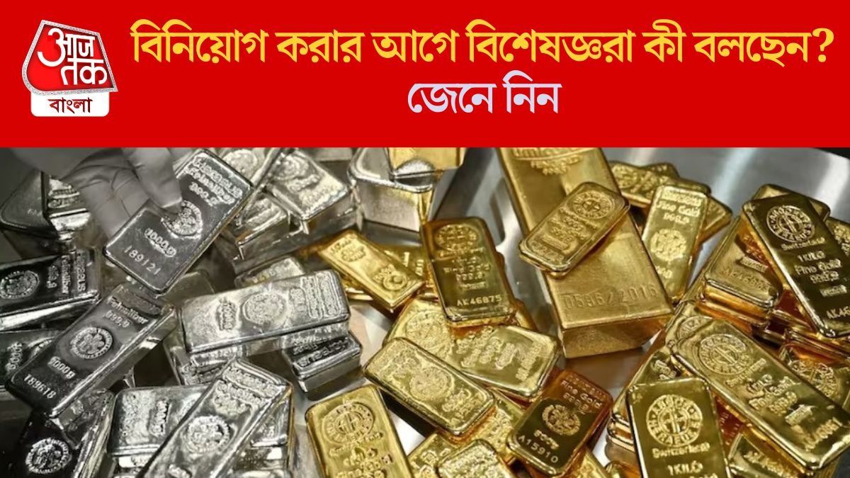 বিনিয়োগ করার আগে বিশেষজ্ঞরা কী বলছেন তা জেনে নিন
