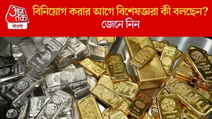 বিনিয়োগ করার আগে বিশেষজ্ঞরা কী বলছেন তা জেনে নিন