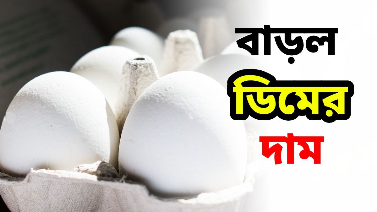 ট্রে প্রতি ৬ টাকা বেড়েছে ডিমের দাম, দোকানে আজ কত টাকায় বিকোচ্ছে?