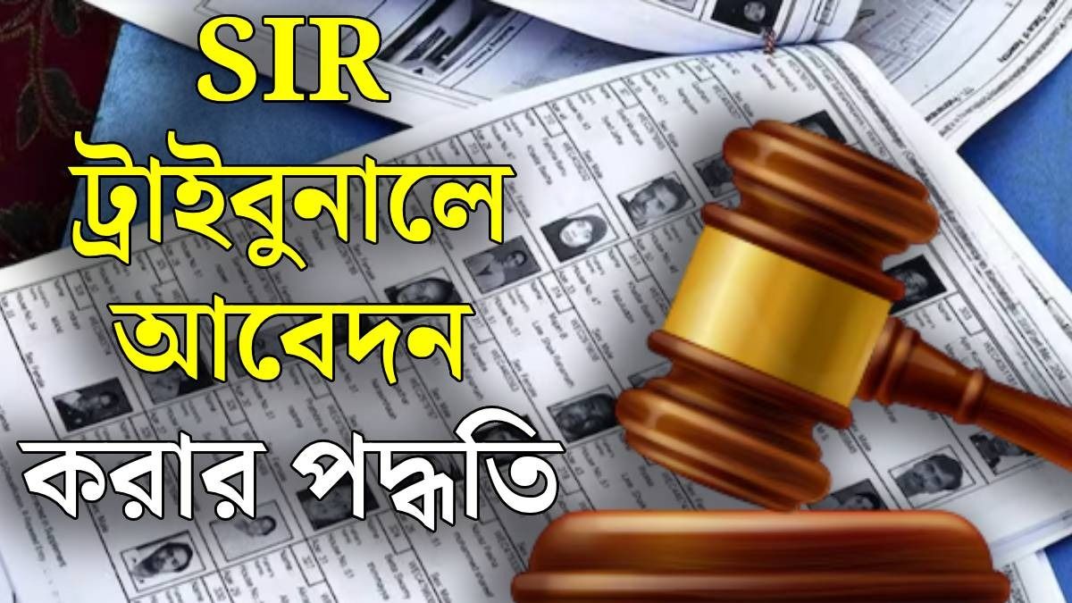 ভোটার লিস্টে নাম বাদ, ট্রাইবুনালে আবেদন করবেন কীভাবে? জেনে নিন