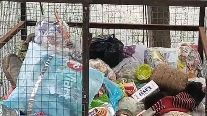 ভোটের মুখে তপ্ত কোচবিহার, ডাস্টবিনে রাখা সুতলি বোমা উদ্ধার ঘিরে চাঞ্চল্য গুড়িয়াহাটিতে