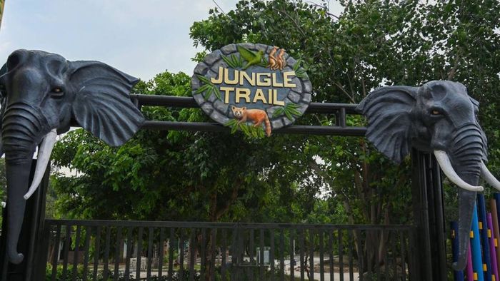 প্রতীকী ছবি