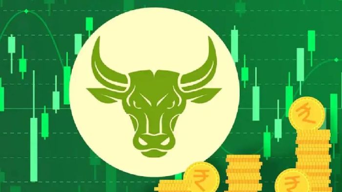 মাল্টিব্যাগার স্টক