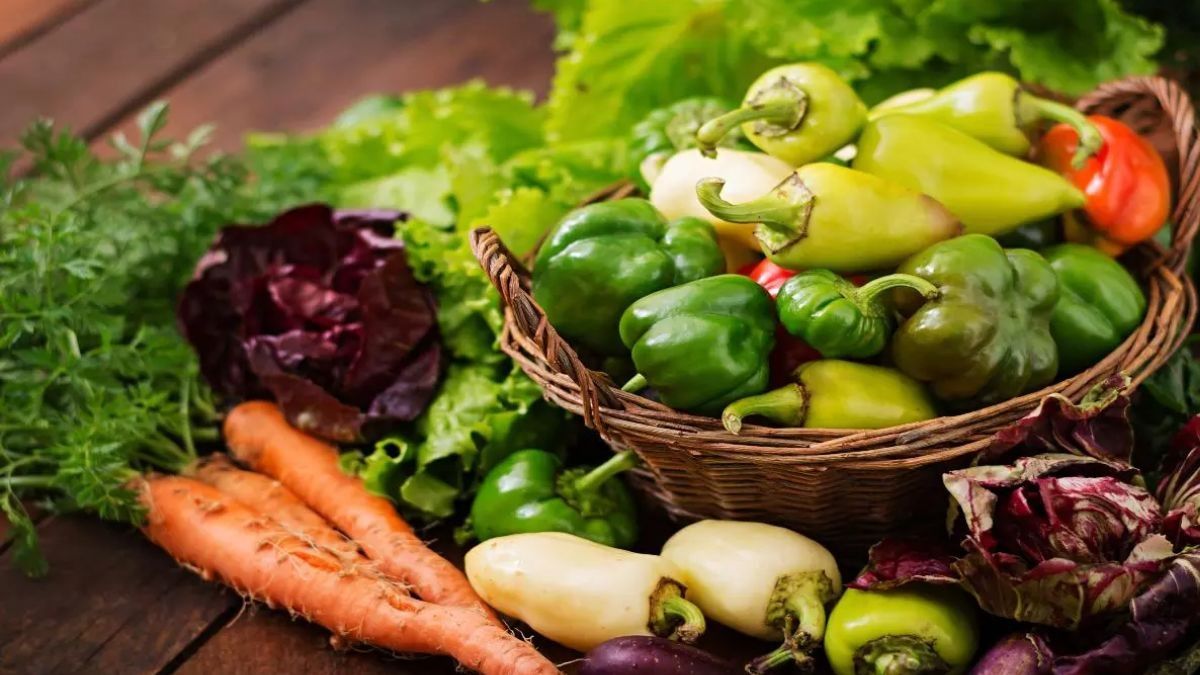 বাড়ির বারান্দাতেই ফলান বিষমুক্ত আনাজ, ‘সামার হিরো’ কিট আনল ন্যাশনাল সিডস কর্পোরেশন