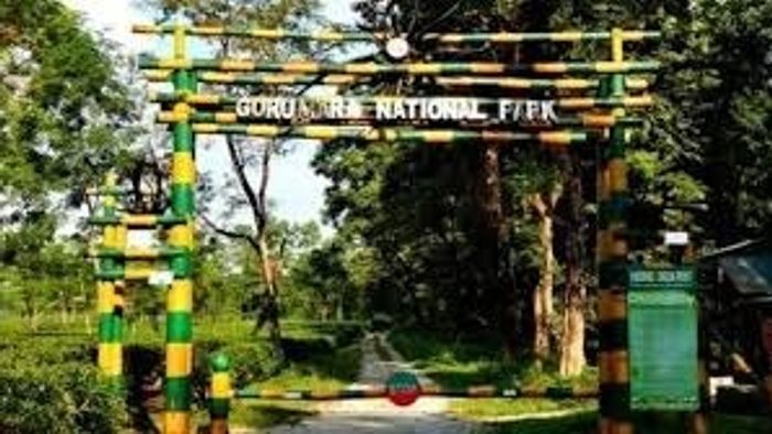 লাটাগুড়িতেও জঙ্গল সাফারিতে নয়া নিয়ম