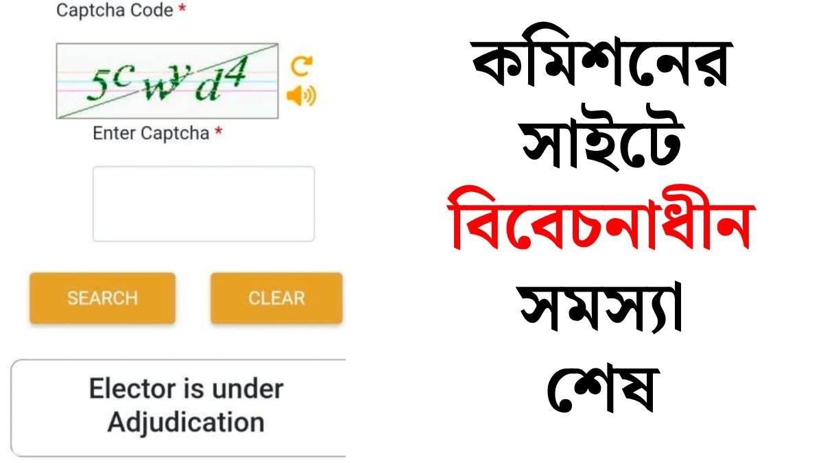 অ্যাডজুডিকেশন সমস্যা