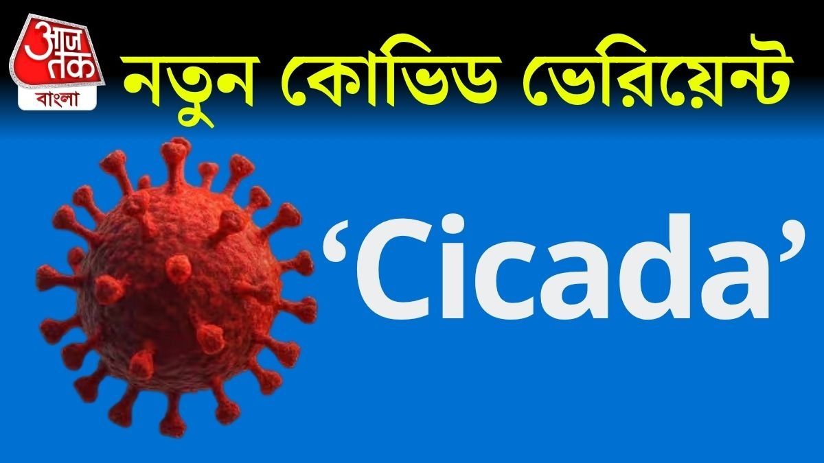 লকডাউন গুজবের মধ্যেই ছড়াচ্ছে নতুন Covid ভ্যারিয়েন্ট 'সিকাডা', কতটা চিন্তার?