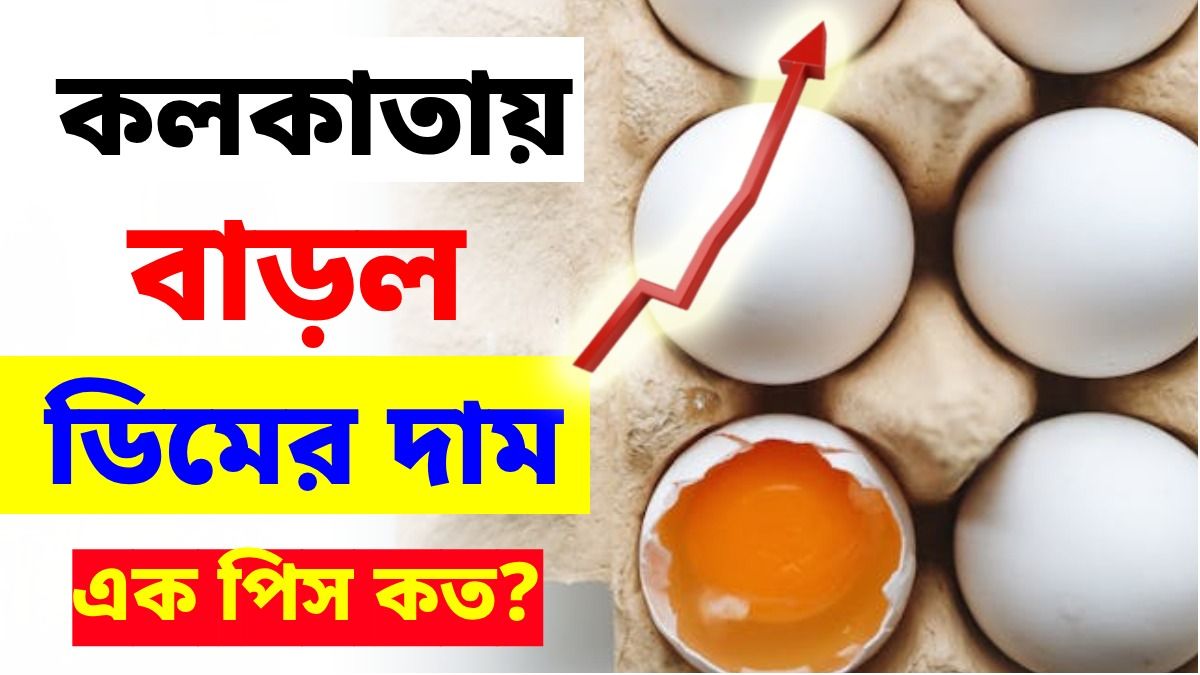 ট্রে প্রতি ডিমের দাম বাড়ল ১২ টাকা, বাজারে এক পিস কত?