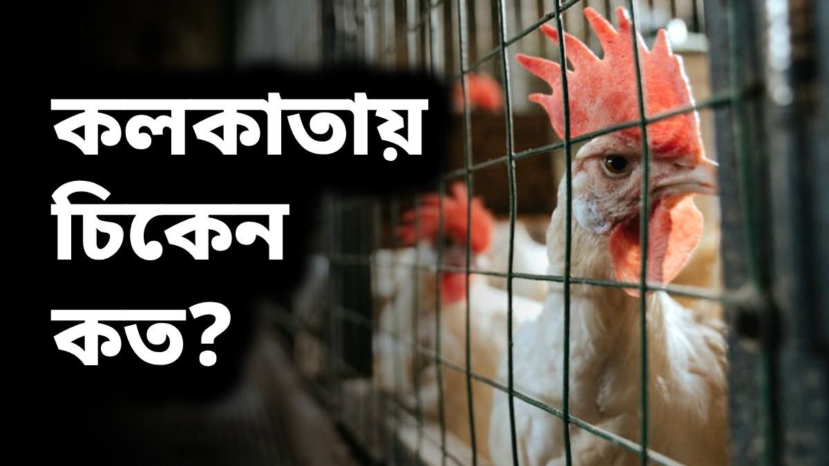 কলকাতায় রেকর্ড বাড়ল চিকেনের দাম, রবিবার কত দিয়ে কিনবেন?
