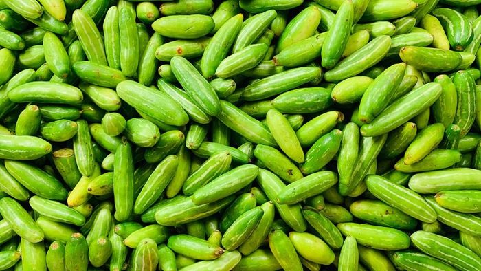 কুঁদরির উপকারিতা জানুন।