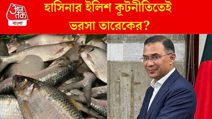 হাসিনার ইলিশ কূটনীতিতেই ভরসা তারেকের?