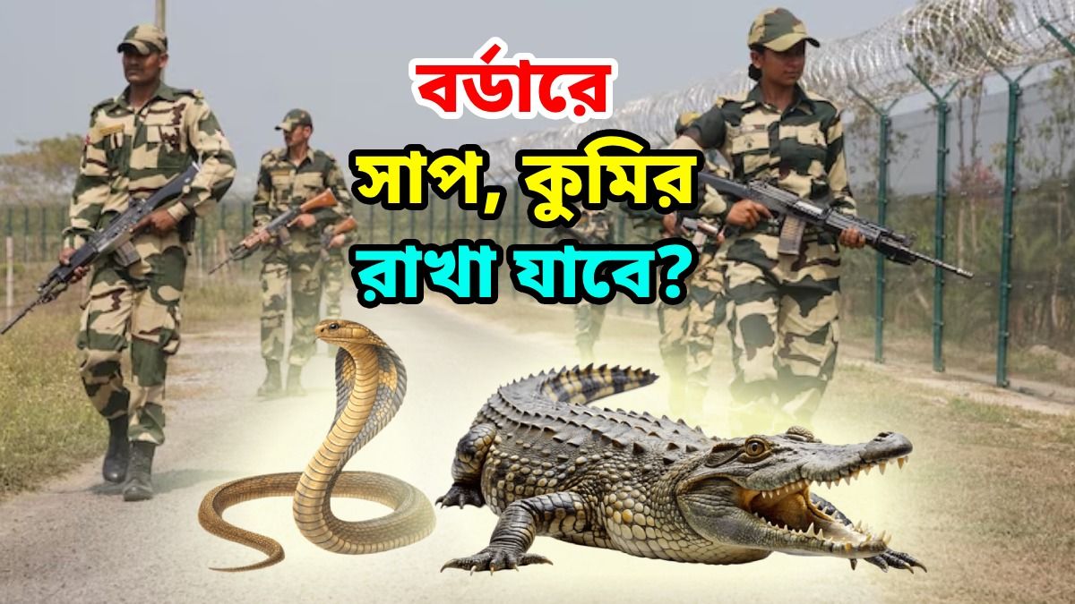 বাংলাদেশি রুখতে বর্ডারে সাপ-কুমির, BSF-এর প্ল্যান বাস্তবে আদৌ সম্ভব? বনদফতরের কর্মী যা জানালেন