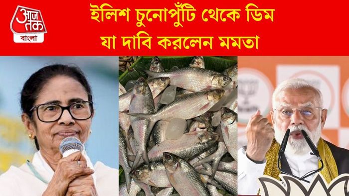 যা দাবি করলেন মমতা