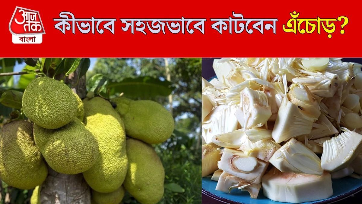 এঁচোড় কাটার পদ্ধতি