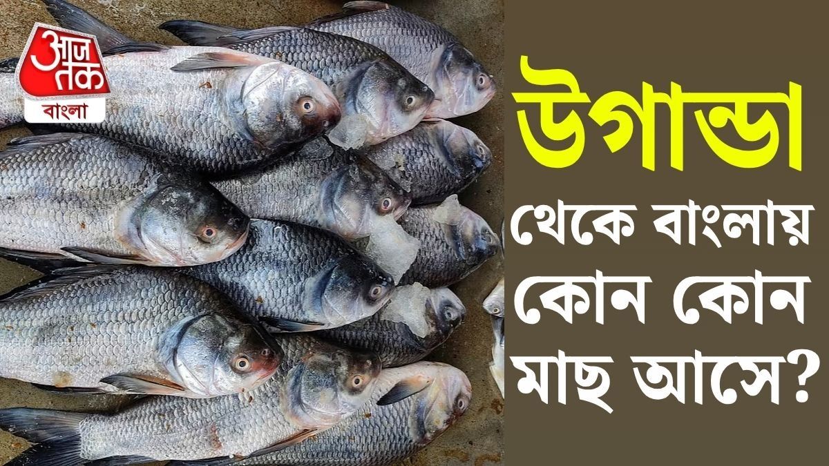 প্রতীকী ছবি 