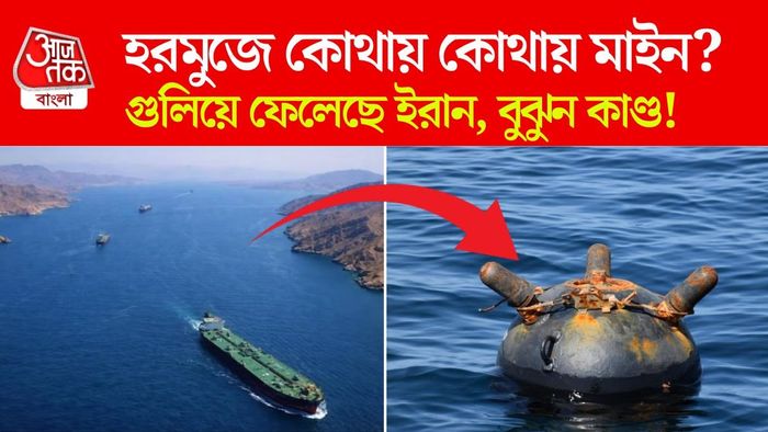 যে নৌ-মাইন পোঁতা হয়েছিল, সেগুলি এখন কোথায় আছে, তা খুঁজে পাচ্ছে না তেহরান।