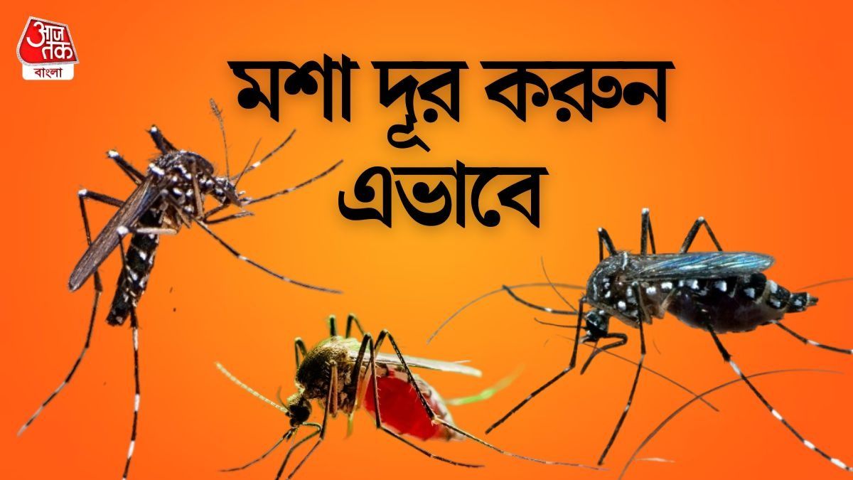 কয়েল বা স্প্রে আর লাগবে না, মশা তাড়াতে করুন এই কাজ