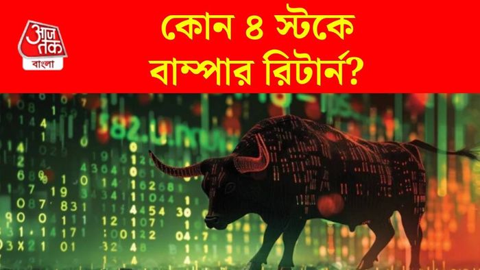 কোন কোন স্টকে বাম্পার রিটার্ন?