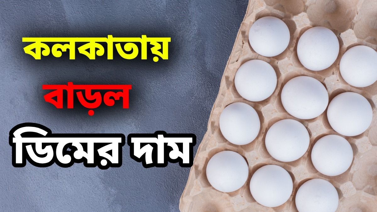 এক সপ্তাহে ২০ টাকা বাড়ল ডিমের ট্রে-র দাম, এক পিস কিনতে কত খরচ হবে?