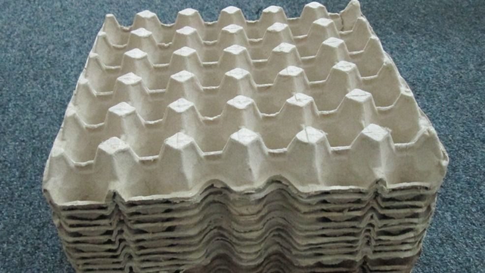 ডিমের কার্টন' ফেলেই দেন তো? আজ থেকে আর ফেলবেন না, কারণ জানুন