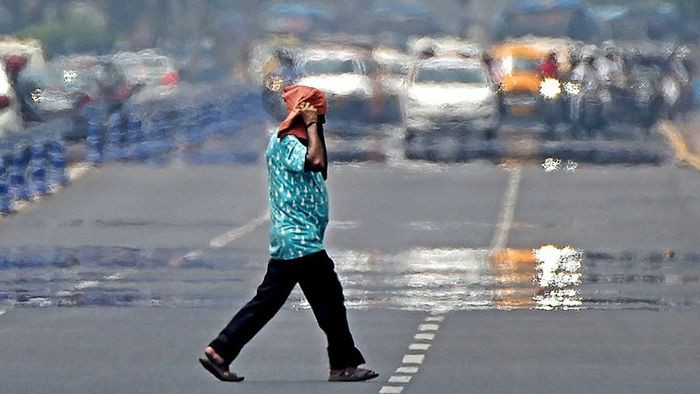 ফাইল ছবি