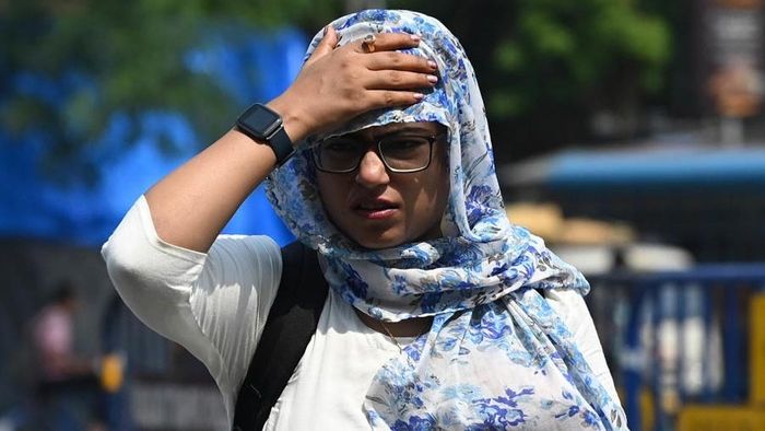 ফাইল ছবি