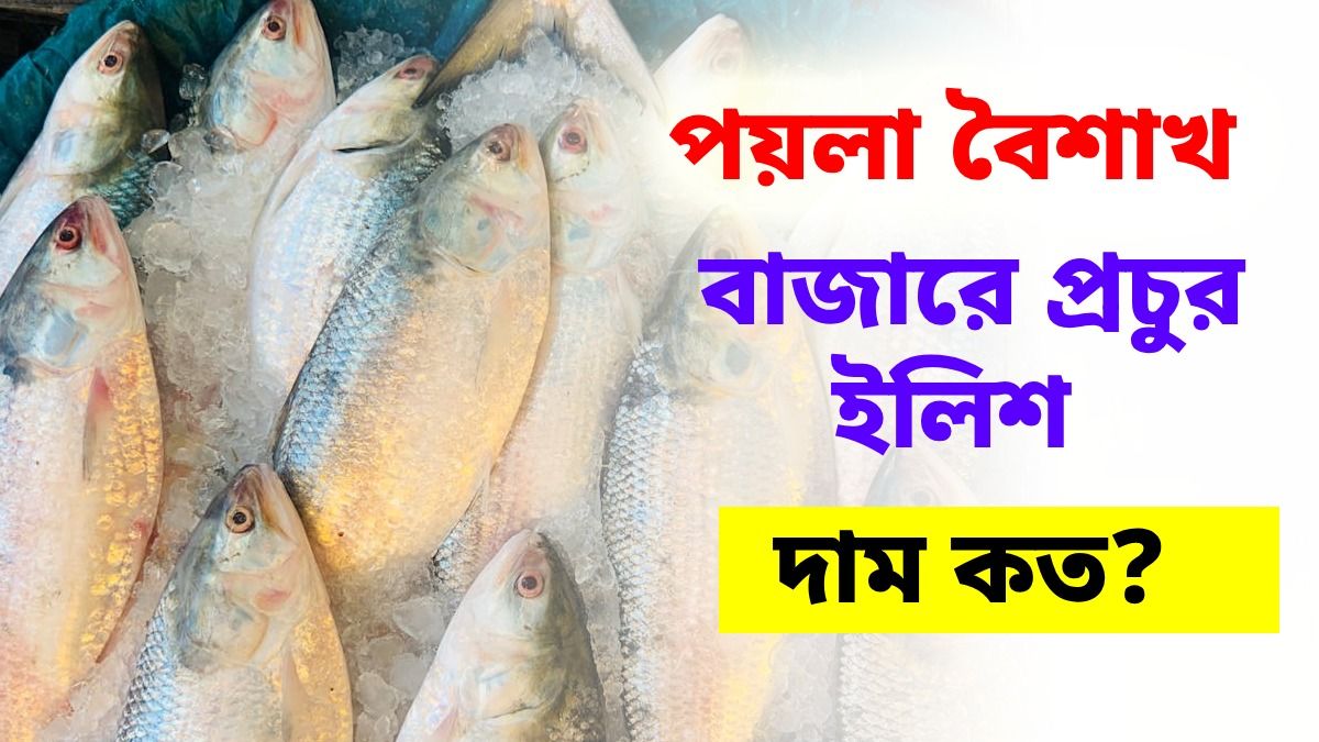 পয়লা বৈশাখে কলকাতার বাজারে এন্তার ইলিশ