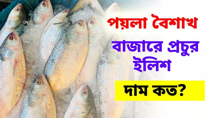 পয়লা বৈশাখে কলকাতার বাজারে এন্তার ইলিশ