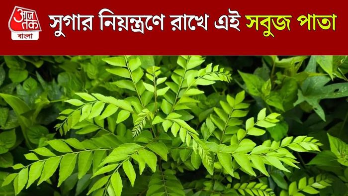 কারিপাতার উপকারিতা