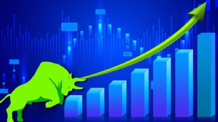 জুতোর কোম্পানির শেয়ারের দাম বাড়ল