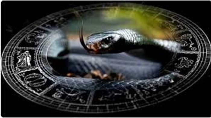 রাহু-কেতুর ফেরে কালসর্প যোগের মধ্যেও কপাল খুলছে এই তিন রাশির, দারুণ ভাগ্য